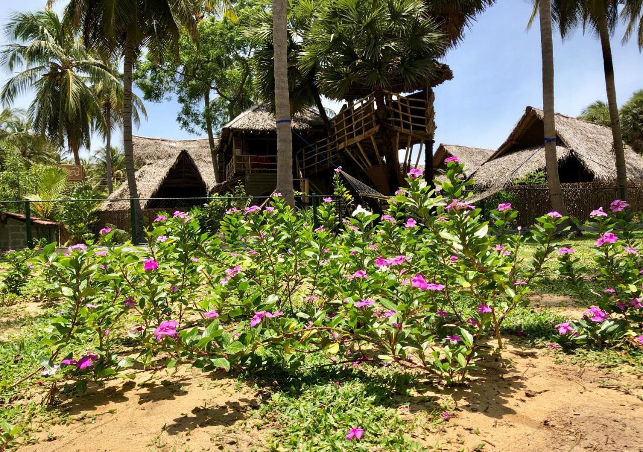 Wind Blend Kite Resort Kalpitiya Bagian luar foto